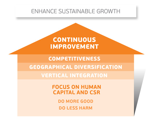 sustainable growth